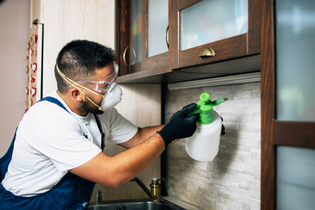Best Emergency Pest Control  in Fresno, TX