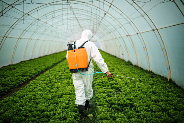 Best Commercial Pest Control Services  in Fresno, TX