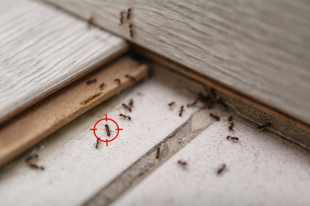 Pest Control for Restaurants in Fresno, TX