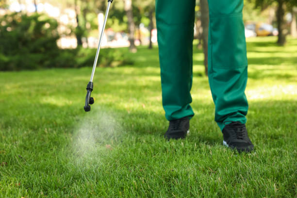 Best Rat Extermination Near Me  in Fresno, TX