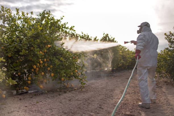 Best Affordable Pest Control Services  in Fresno, TX