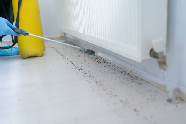  Fresno, TX Pest Control Pros