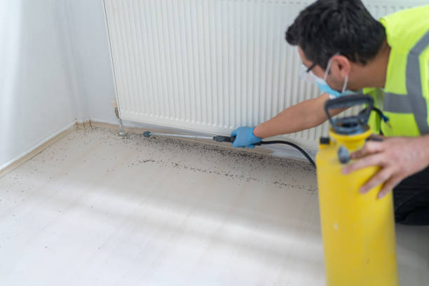 Best Pest Prevention Services  in Fresno, TX