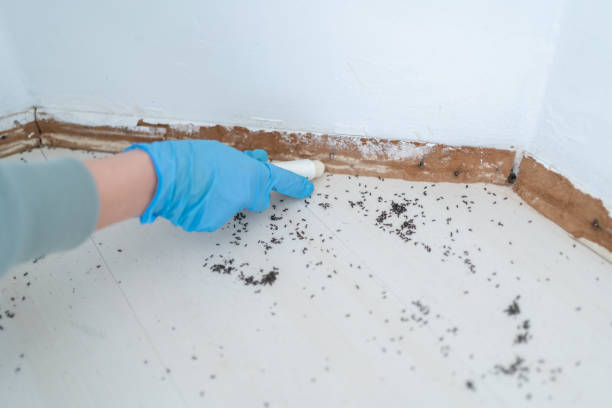Best Pest Inspection Near Me  in Fresno, TX
